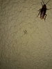 20180704_231955.jpg