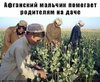 IMG-20180727-WA0002.jpg