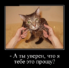 1534957240475.png