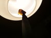 20180906_161356.jpg