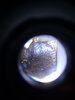 20180906_161511.jpg