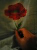 IMG_20180924_230920.jpg