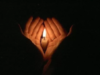 1539249918579.png