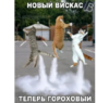 1539423950584.png