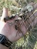 20181018_135323.jpg