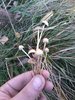20181016_141032.jpg