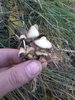 20181016_144024.jpg