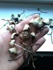 20181018_162753.jpg