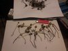20181018_194530.jpg