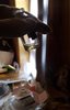 20181205_015142.jpg