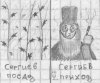2215198.jpg