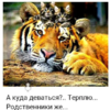 1545037120663.png