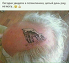1546949841869.png