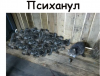 1547716573754.png