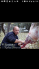 Screenshot_20190128-073902.png