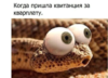 23783