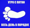 23886