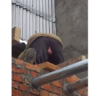 24054