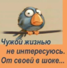 24841