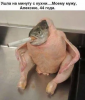25134