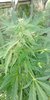 IMG-20190702-WA0000.jpeg