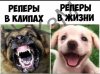 DF1315D0-0D13-4F6F-8D5B-6F85DBE7CC6A.jpeg