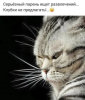25881