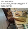 25896