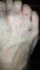 IMG_20191128_202656.jpg