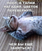 1586845452429.png