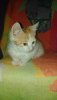 IMG-20200120-WA0000.jpg