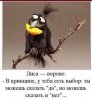 FB_IMG_1593622162505.jpg