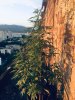 C2382851-0078-46EE-B296-6E0EA59B947A.jpeg