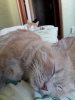 20200716_135705.jpg