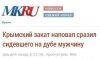 FB_IMG_1595393432795.jpg