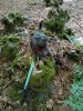 20200731_094928.jpg