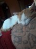 20200804_115308.jpg