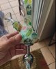__4c3ea67046b4c6d0c9ce5108014f5b7c_width-600.jpeg