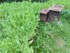 IMG_20200902_173650.jpg