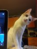 20200906_182720.jpg