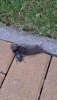20200910_092620.jpg
