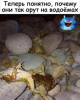 1600240159250.png