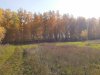 20200930_095148.jpg