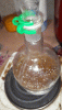 20201007_013647_1.gif