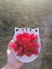 IMG_20201117_143444.jpg