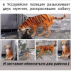 1607098930864.png