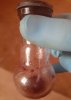 20201226_102218.jpg