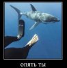 760757055d4d513b666ffcfc85099bf6.jpg