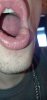 IMG_20210210_150800.jpg