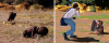 1616595042000.png